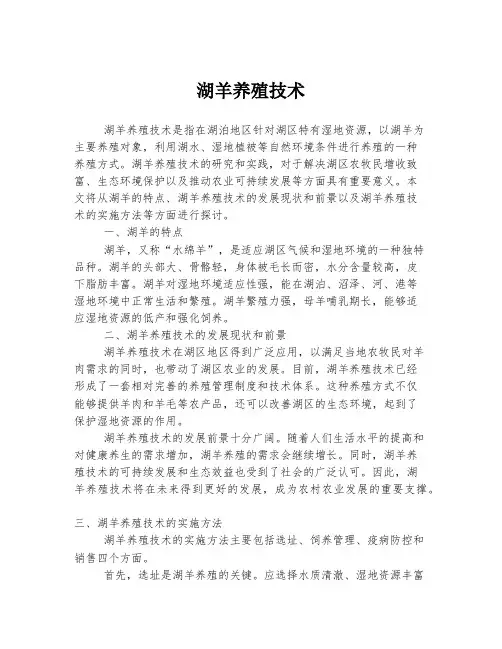 湖羊养殖技术