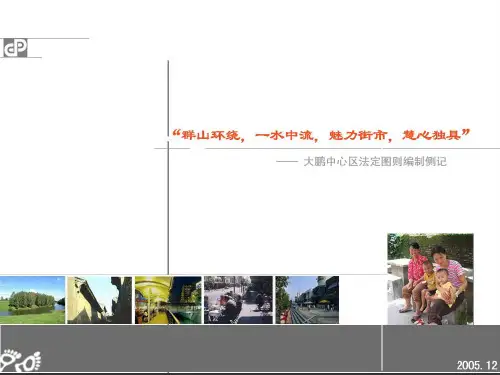 大鹏中心区法定图则01