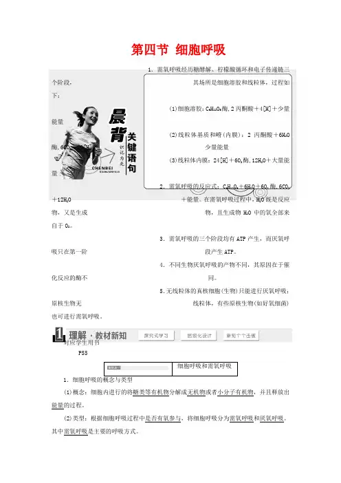 高中生物 第三章 第四节 细胞呼吸教学案 浙科版必修1-浙科版高中必修1生物教学案