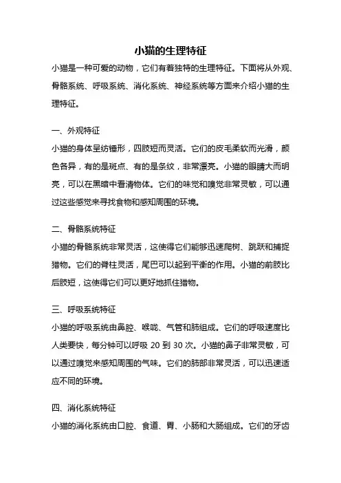 小猫的生理特征