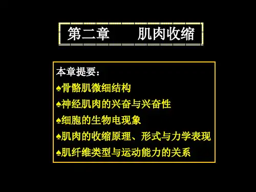 运动生理第二章