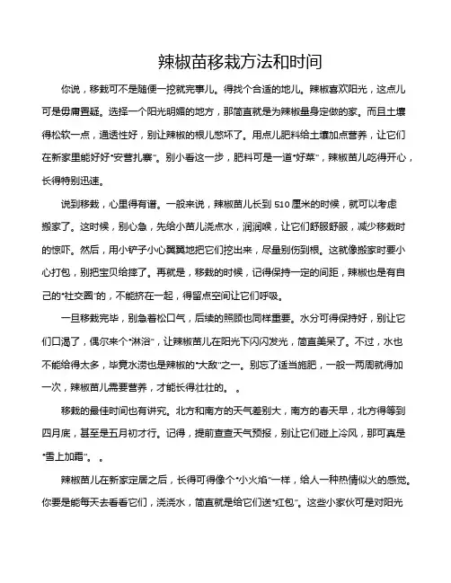 辣椒苗移栽方法和时间