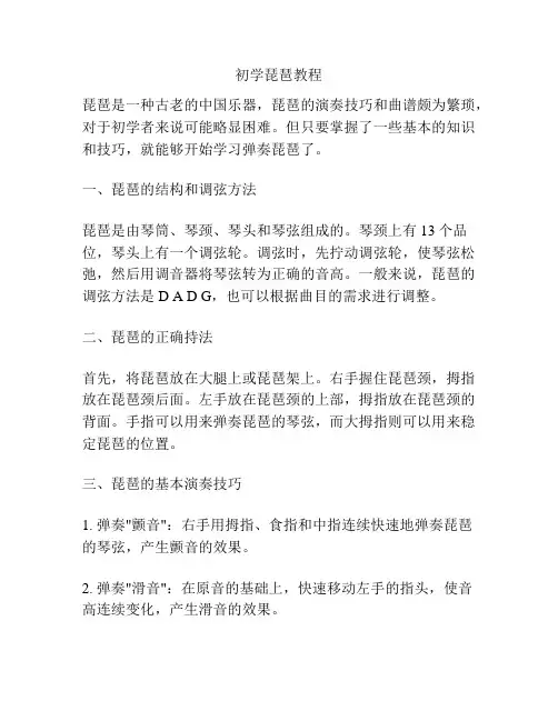 初学琵琶教程