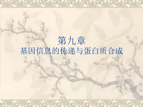 细胞生物学课程第9章基因信息的传递与蛋白质合成(医学院) 厦门大学