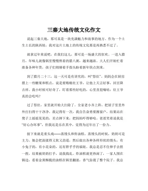 三秦大地传统文化作文
