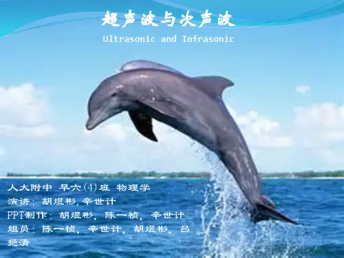 超声波与次声波
