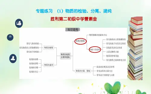 九年级化学中考二轮专题复习  物质的检验、分离、提纯(14张PPT)