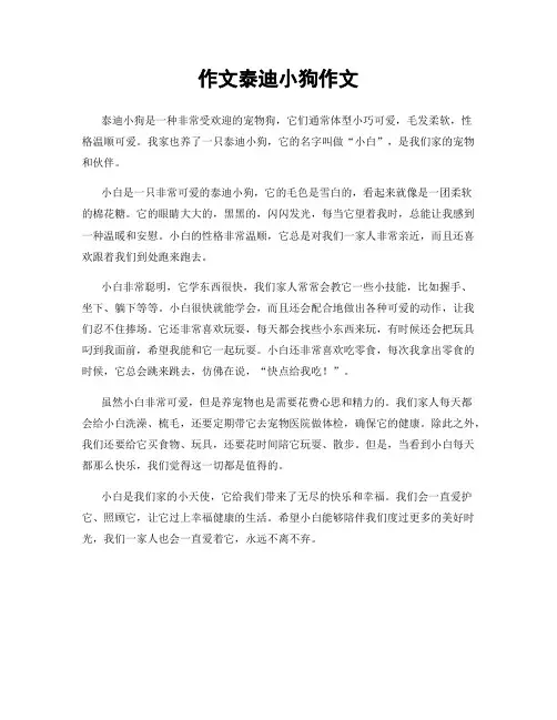 作文泰迪小狗作文
