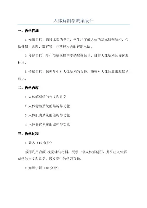 人体解剖学教案设计