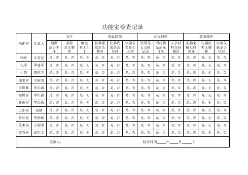 功能室检查记录表