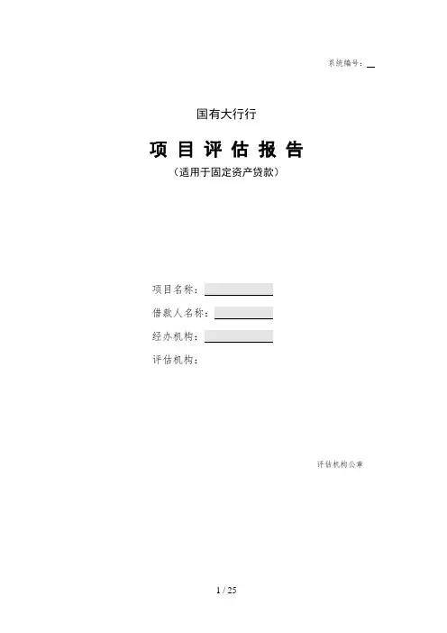 国有大行固定资产项目评估模板