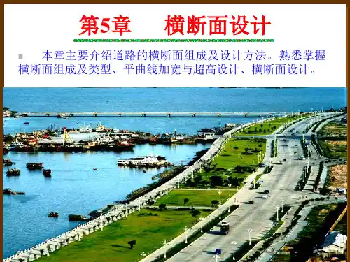 1-4道路横断面
