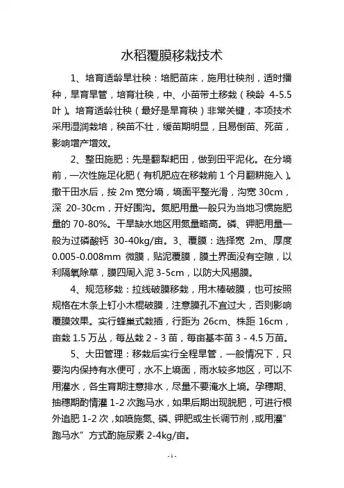 水稻覆膜移栽技术