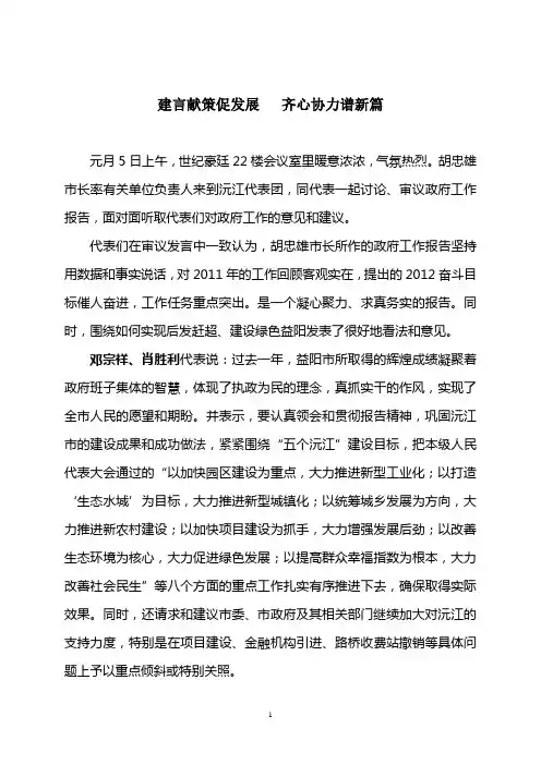 建言献策促发展 齐心协力谱新篇