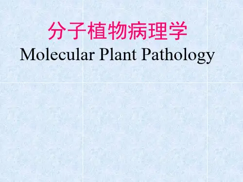 分子植物病理学  ppt课件