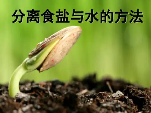 教科版《分离食盐与水的方法》PPT1