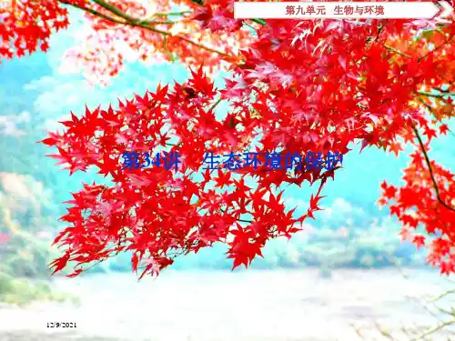 高考生物一轮复习第九单元生物与环境第34讲生态环境的保护课件高三全册生物课件