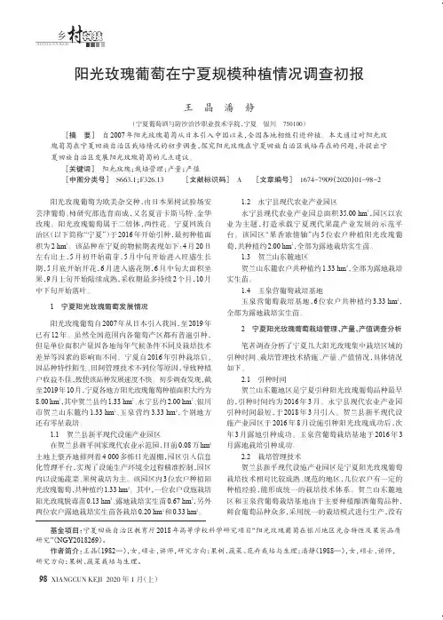 阳光玫瑰葡萄在宁夏规模种植情况调查初报