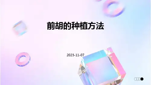 前胡的种植方法