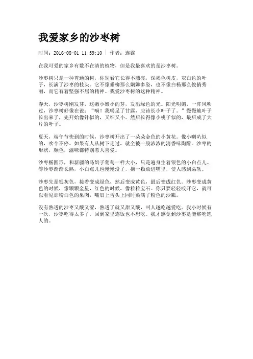我爱家乡的沙枣树