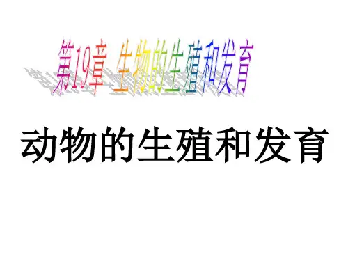 北师大版生物八上19.2《动物的生殖和发育》课件(第一课时)(共33张PPT)