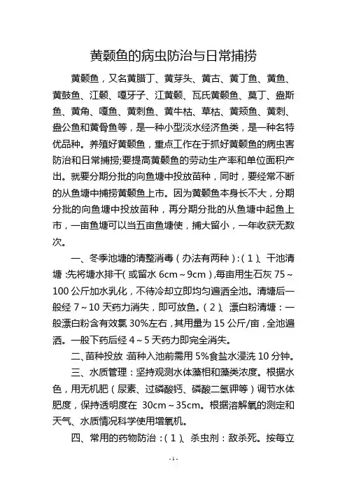 黄颡鱼的病虫防治与日常捕捞