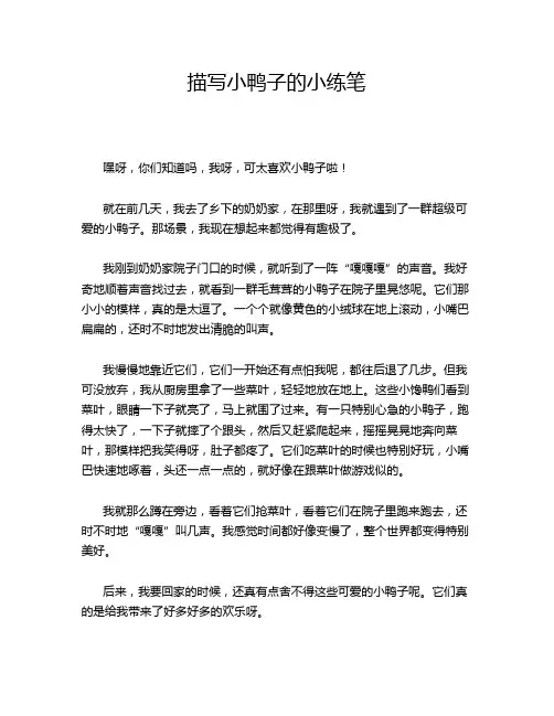 描写小鸭子的小练笔