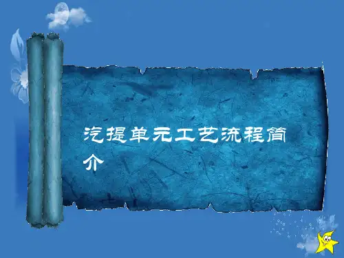 汽提工艺流程简介