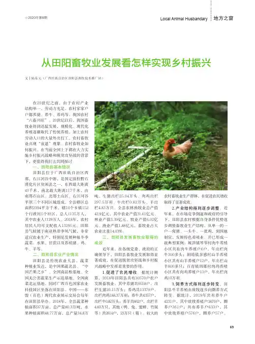 从田阳畜牧业发展看怎样实现乡村振兴