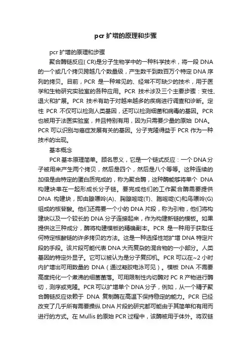 pcr扩增的原理和步骤