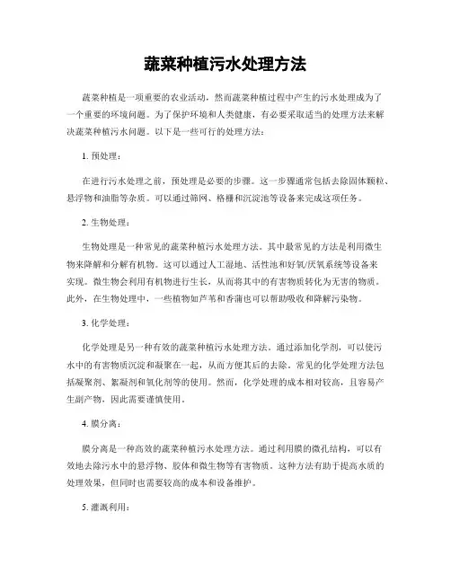 蔬菜种植污水处理方法