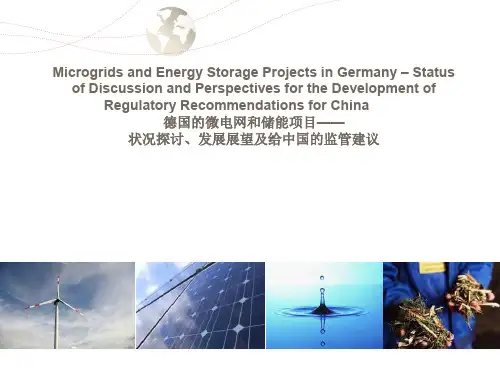 德国微电网项目的发展及对中国的监管建议