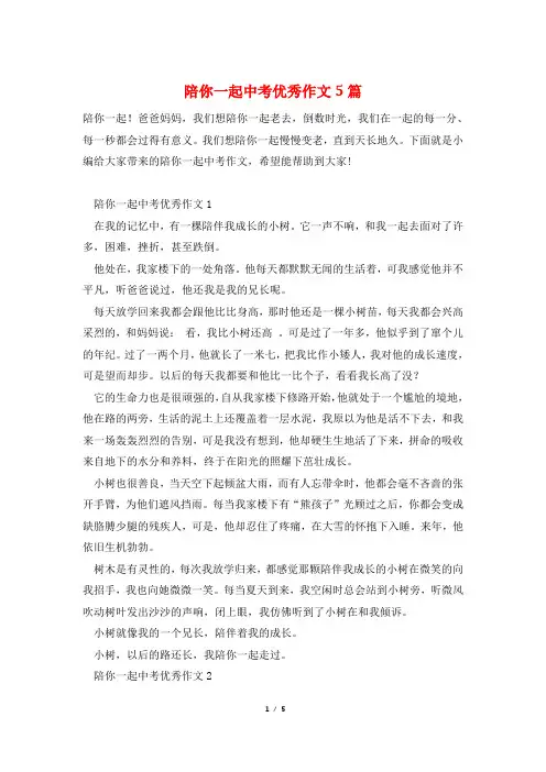 陪你一起中考优秀作文5篇