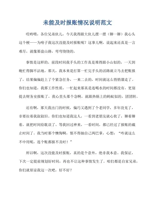 未能及时报账情况说明范文