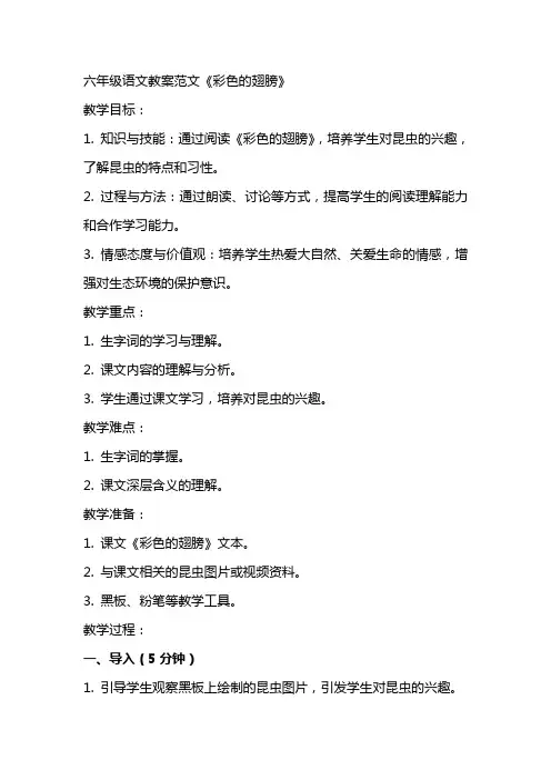 六年级语文教案范文彩色的翅膀