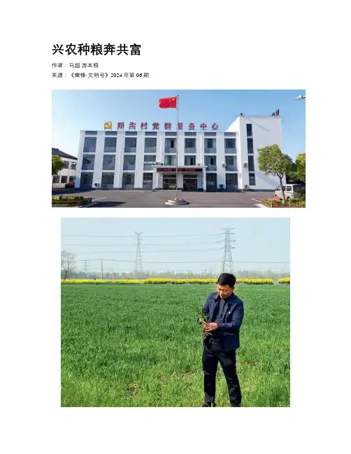 兴农种粮奔共富