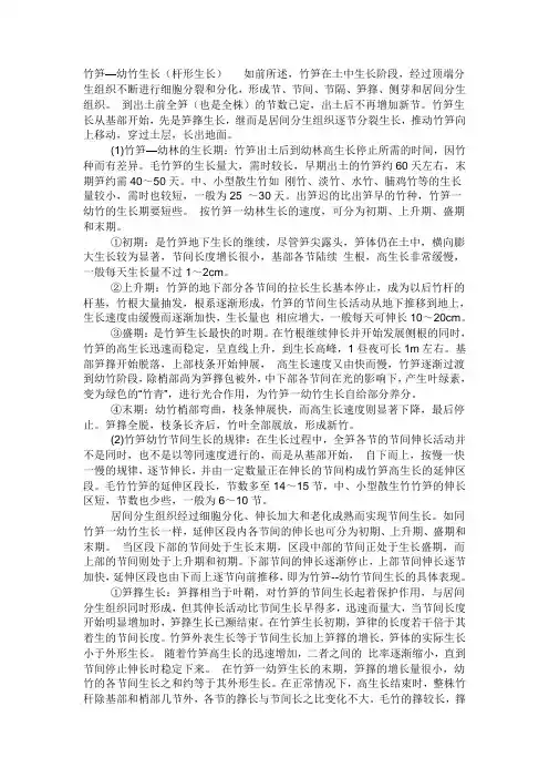 竹笋