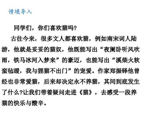 第17课《猫》课件 2024—2025学年统编版语文七年级上册(1)
