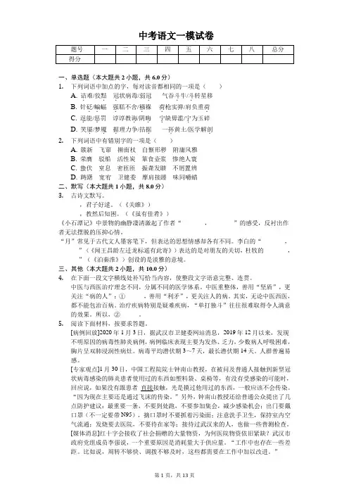 2020年河南省周口市沈丘县中考语文一模试卷