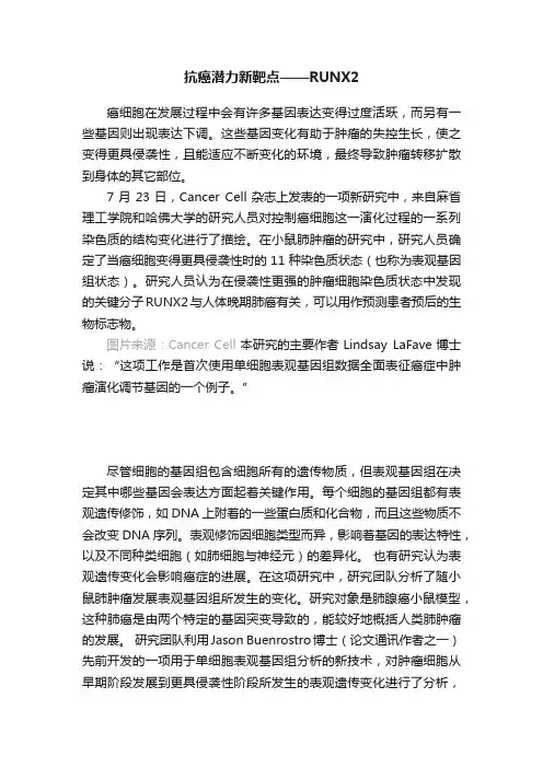 抗癌潜力新靶点——RUNX2