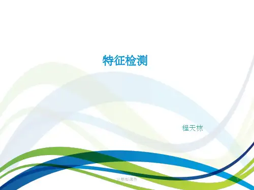 图像处理经典特征检测PPT课件