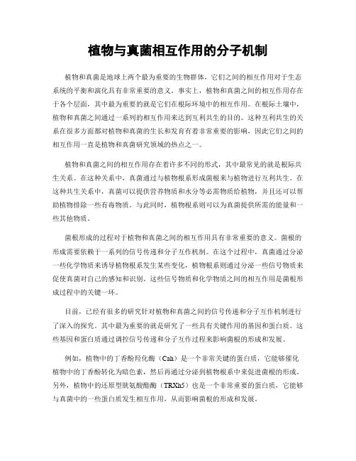 植物与真菌相互作用的分子机制