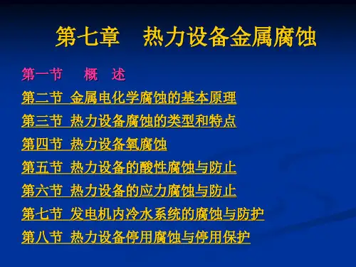 7第七章 热力设备腐蚀