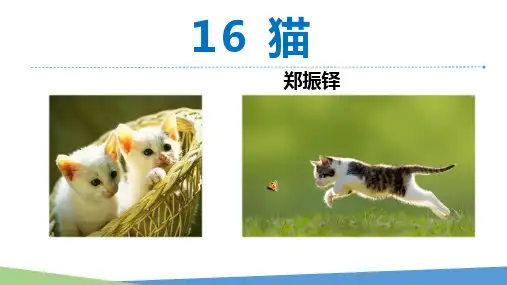 部编版七年级语文上册《猫》PPT优秀课件