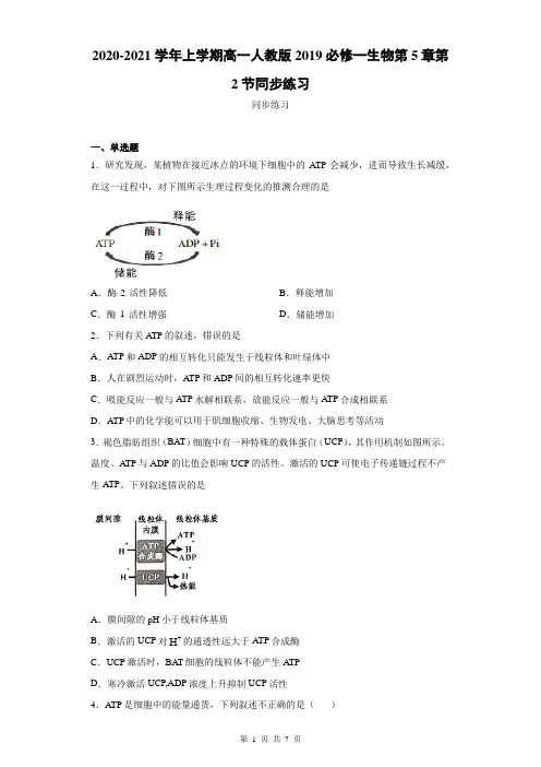 2020-2021学年上学期高一人教版2019必修一生物第5章第2节细胞能量通货ATP同步练习