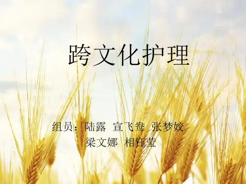 跨文化护理_【PPT课件】