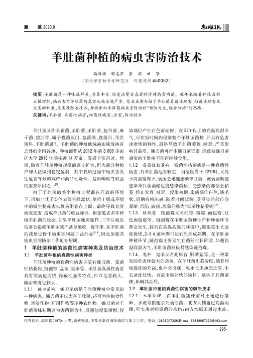 羊肚菌种植的病虫害防治技术