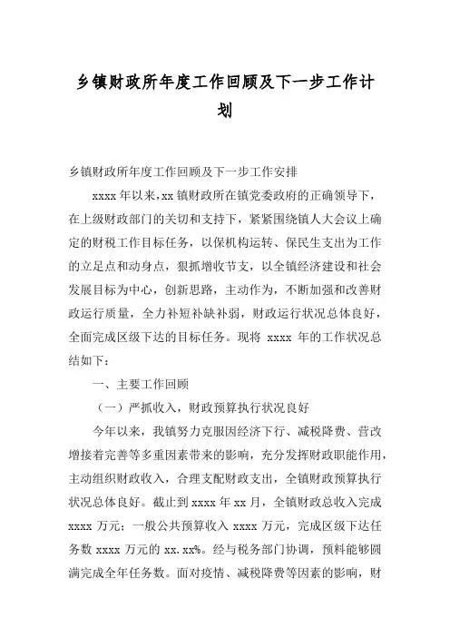 乡镇财政所年度工作回顾及下一步工作计划
