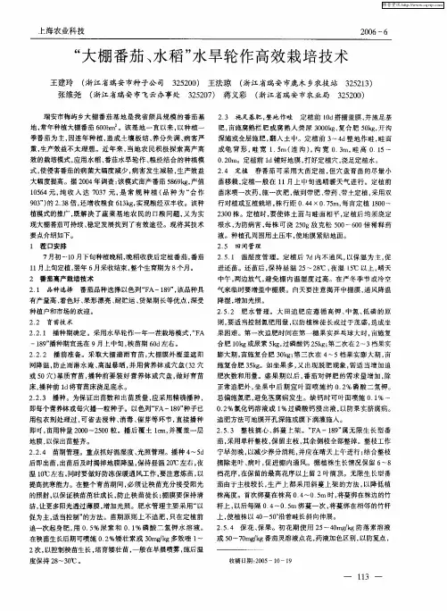“大棚番茄、水稻”水旱轮作高效栽培技术