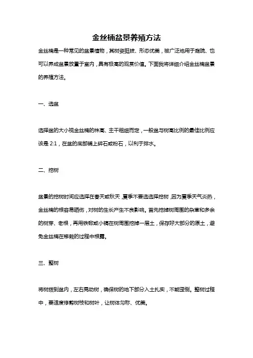 金丝楠盆景养殖方法